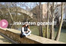 SPOT berria: Irakurri, Gozatu, Lizarran erosi eta Oparitu