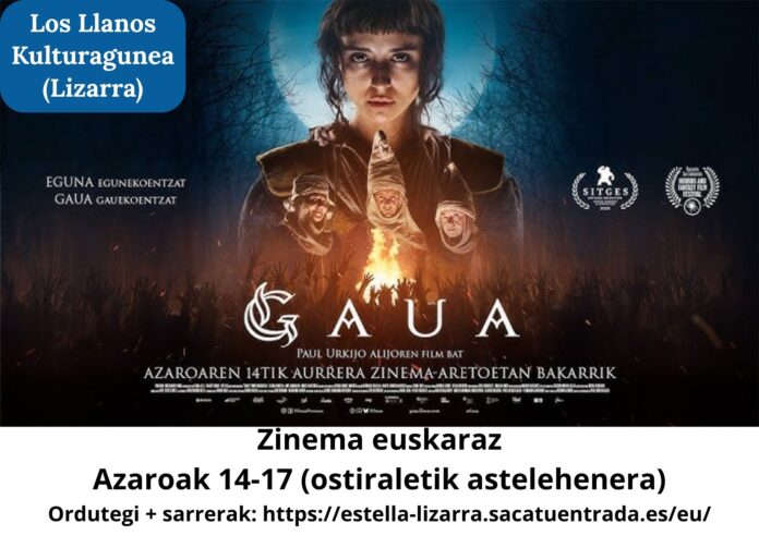 Gaua Lizarra